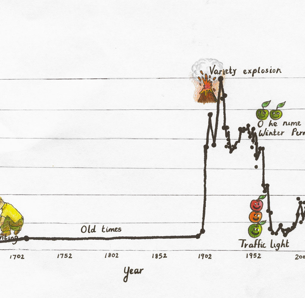 South African Apple Variety Story Tru Cape Drawing