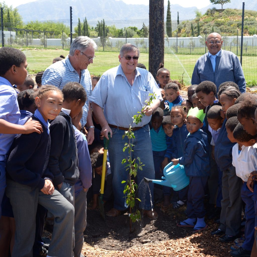 Ipa Prune Tree Donation