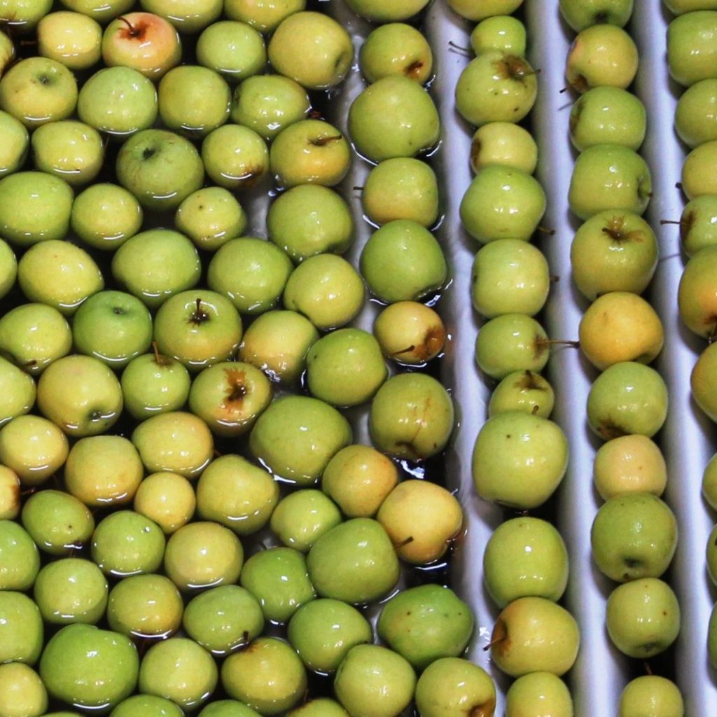 Water And Apples Mini