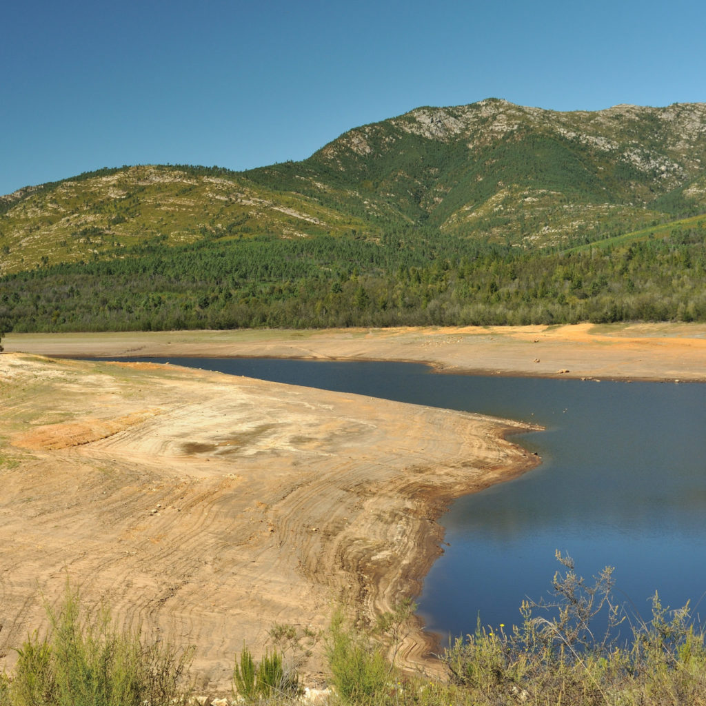 Hortgro Haarlem Dam, Running On Empty