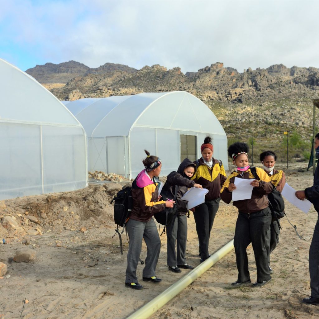 Learners Active At The New Tunnels (2)