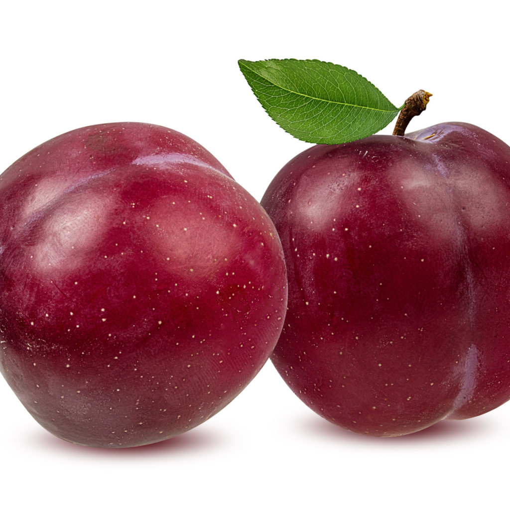 Plum On A White