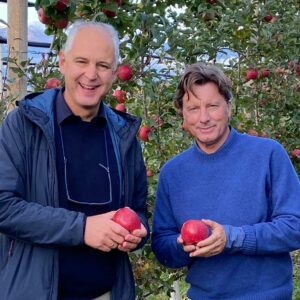Stephen Rabe apples in a time of Covid