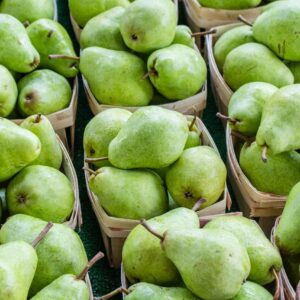 Pears