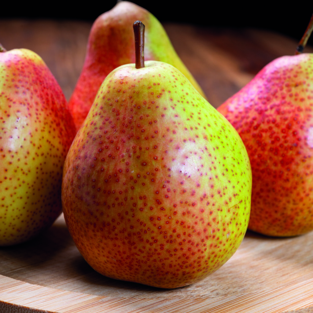 Fresh Ripe Red Yellow Forelle Pears Fruit From Germany
