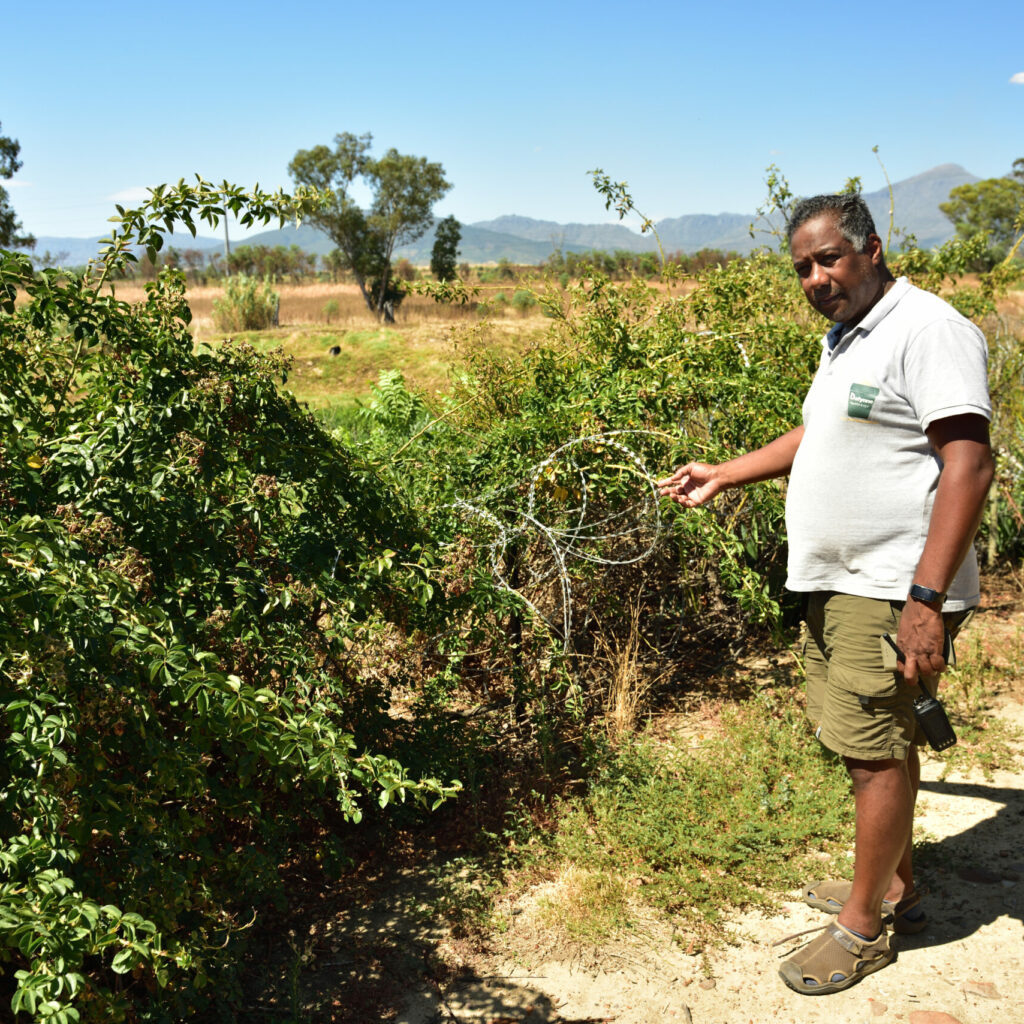 Elton Jeftha Indicating Where The Thieves Can Through