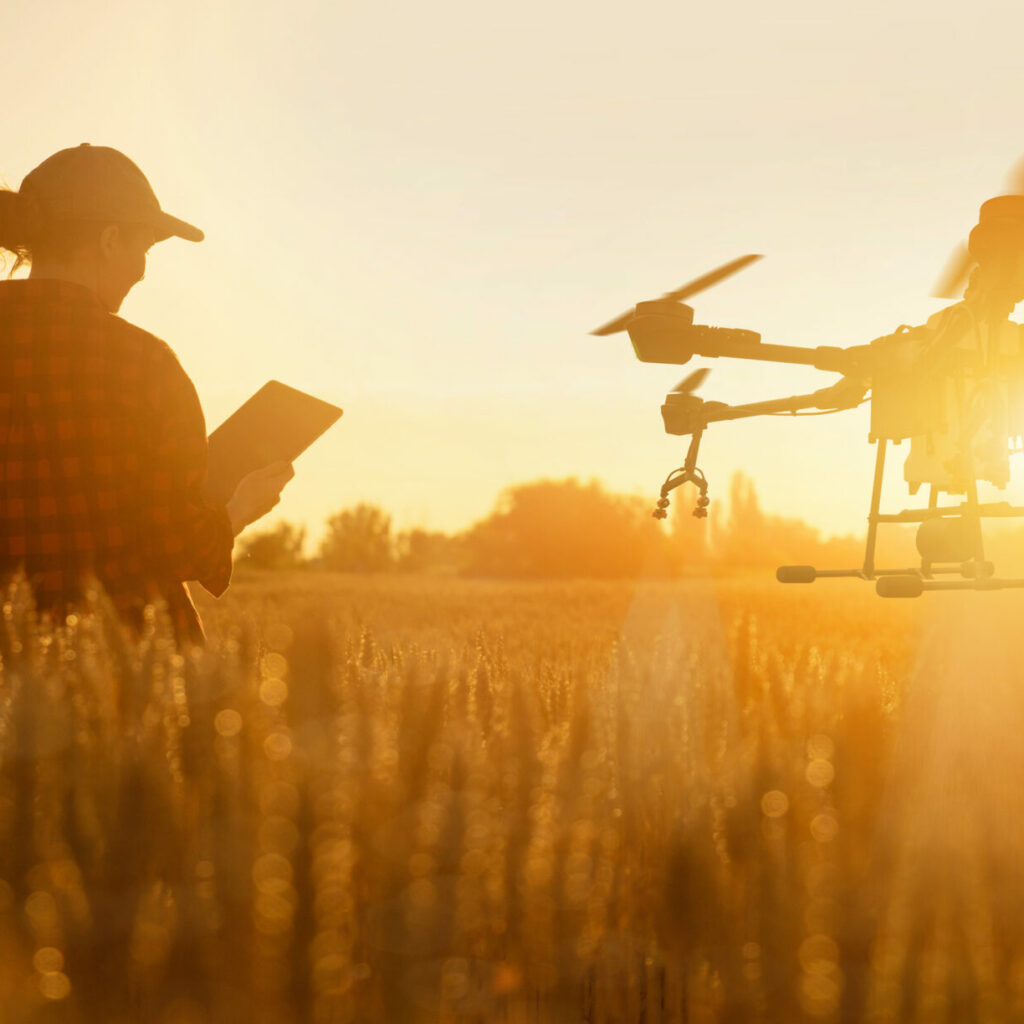 Farmer Controls Drone Sprayer With A Digital Tablet