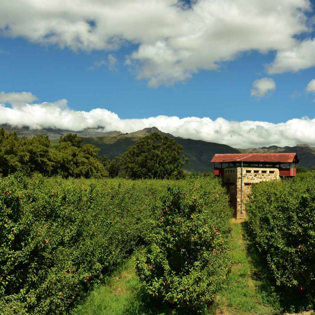 A Historical Block House In An Orchard With Blue Sky And Clouds