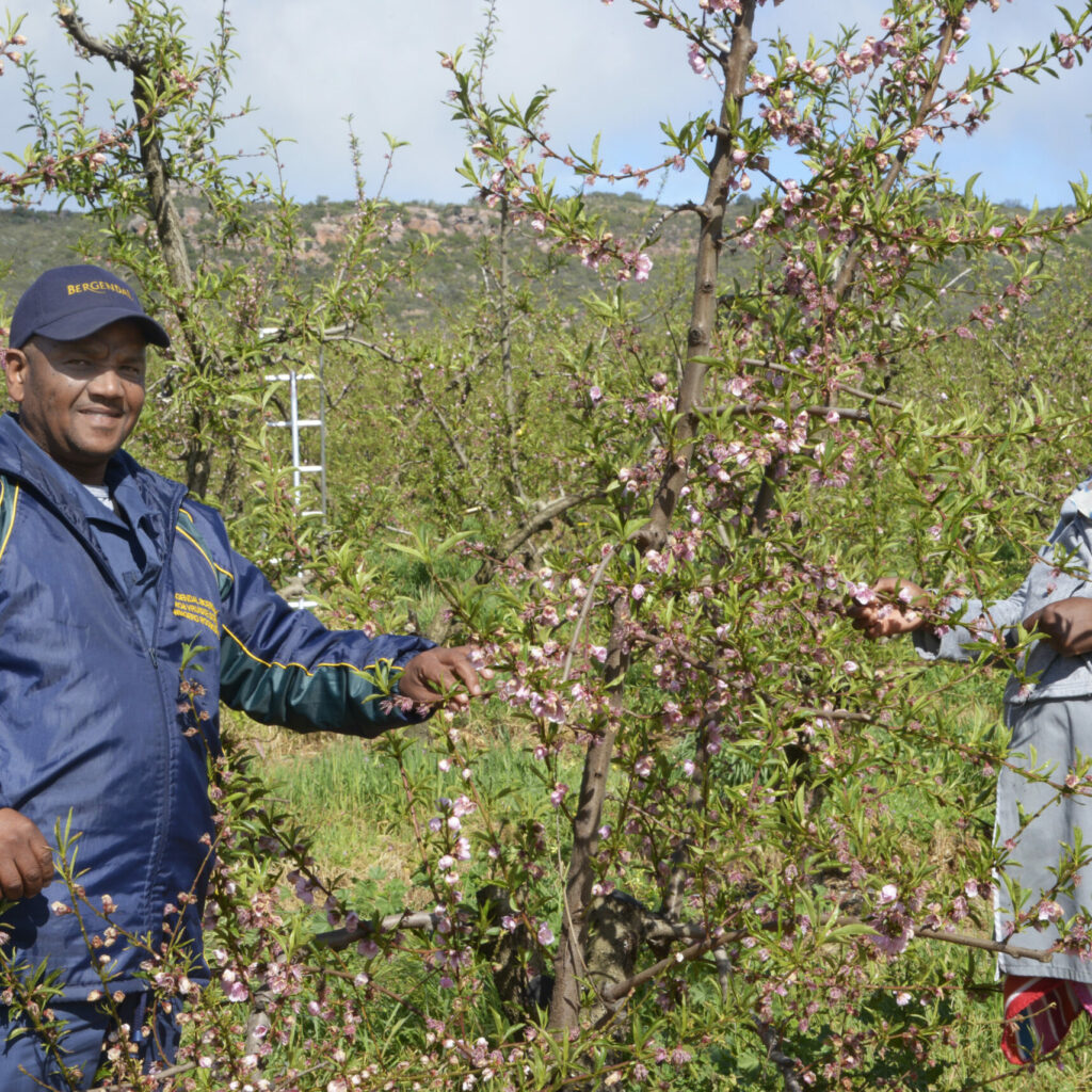 Willem Booise With Seasonal Worker