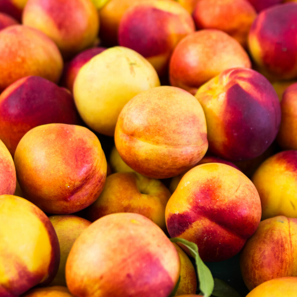 Group Of Colorful Nectarine Fruits From The Market