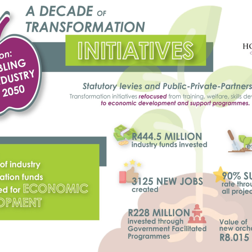 Infographic 2