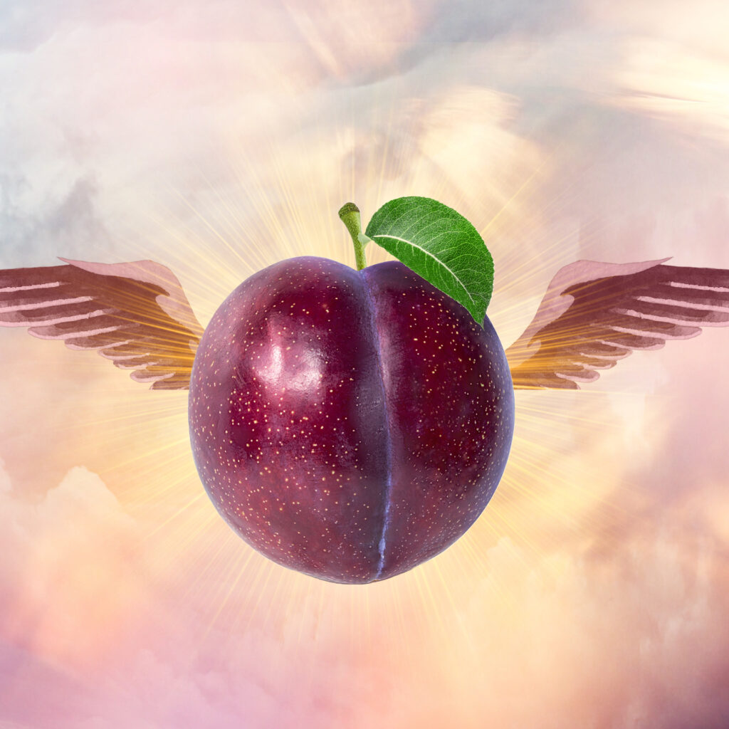 2plum