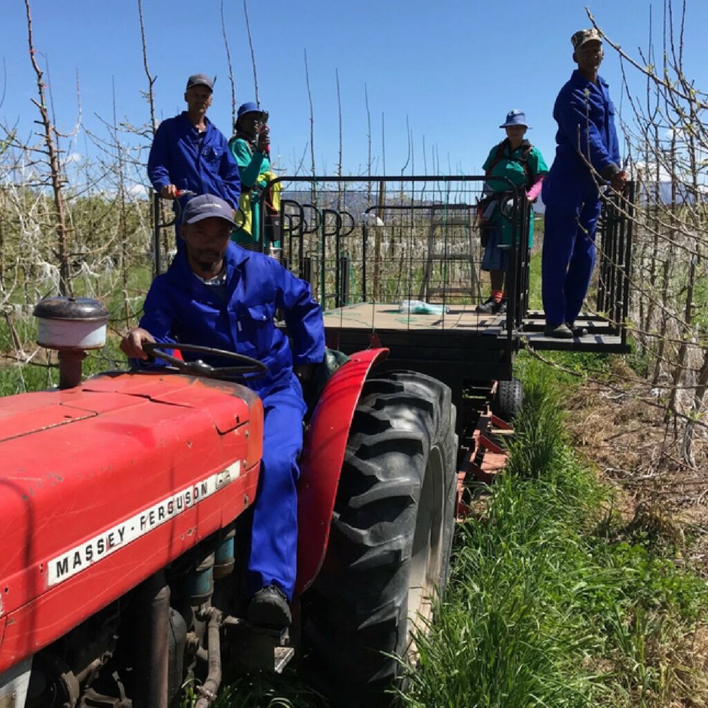 Achtertuin Mechanisation