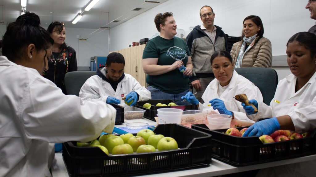Phyla Phi3