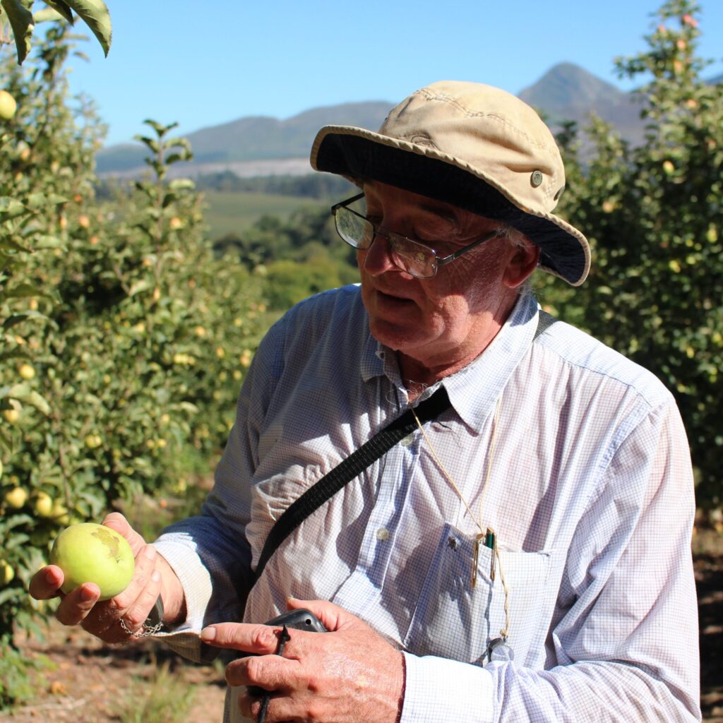 Ken Pringle Monitoring Pests In The Orchards