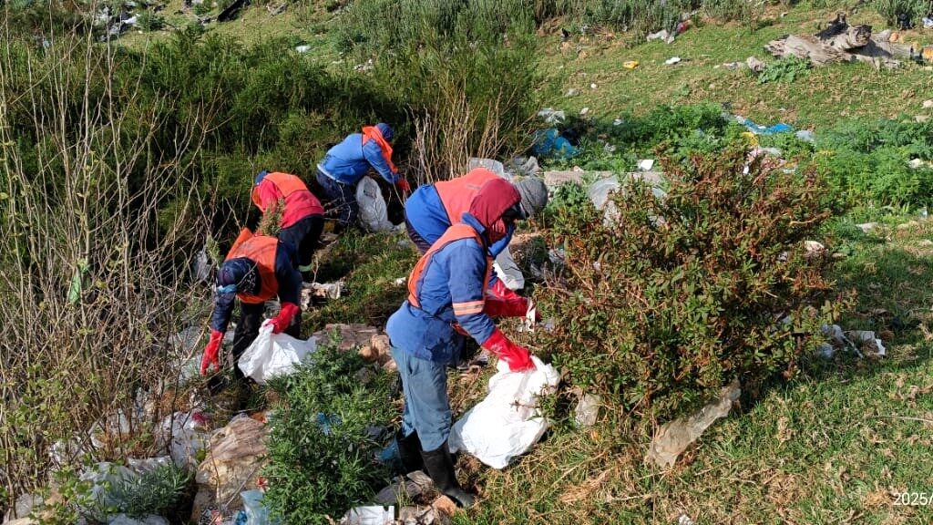 Clean Up