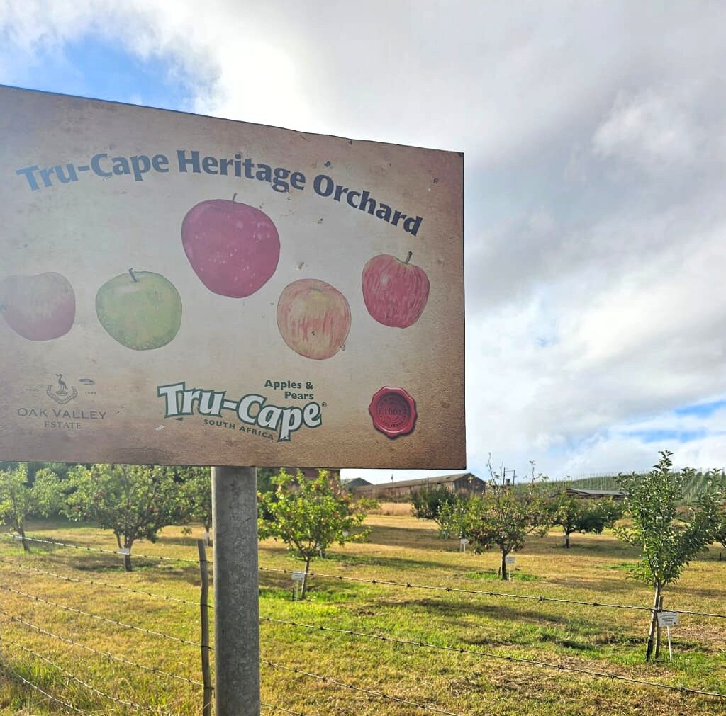 Heritage Orchard B