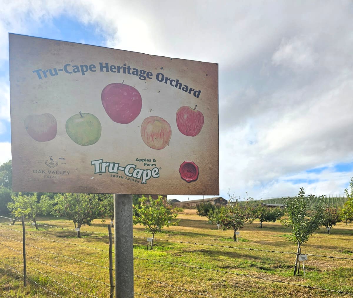 Heritage Orchard B