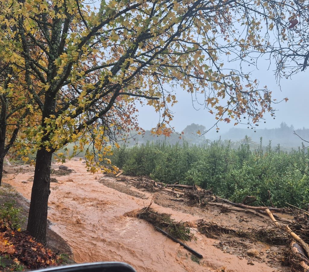 Storm1