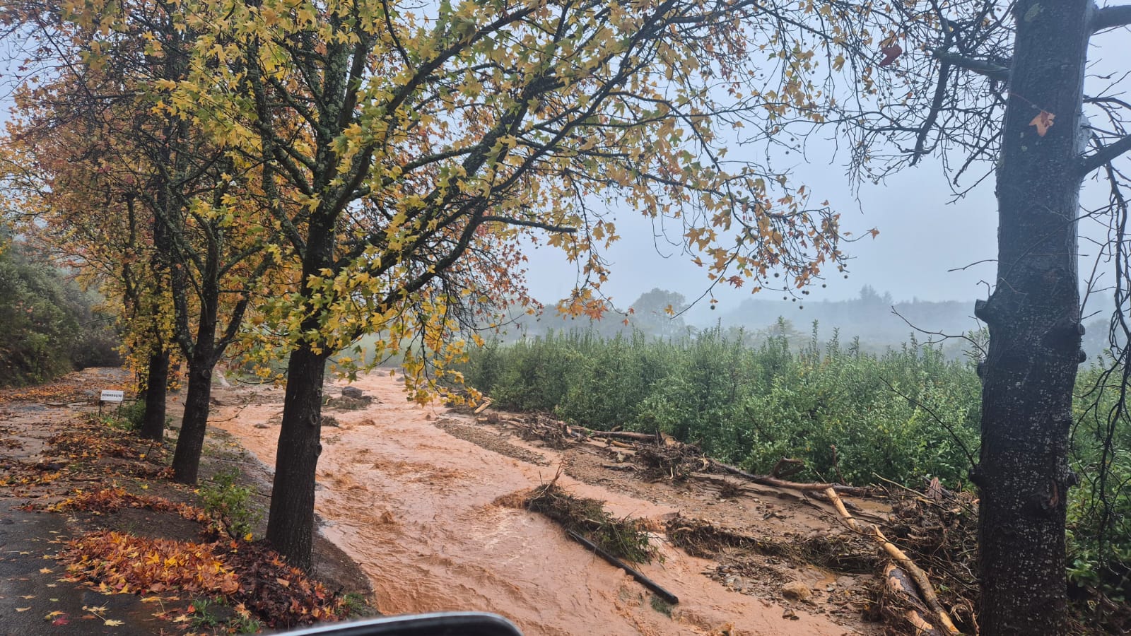 Storm1
