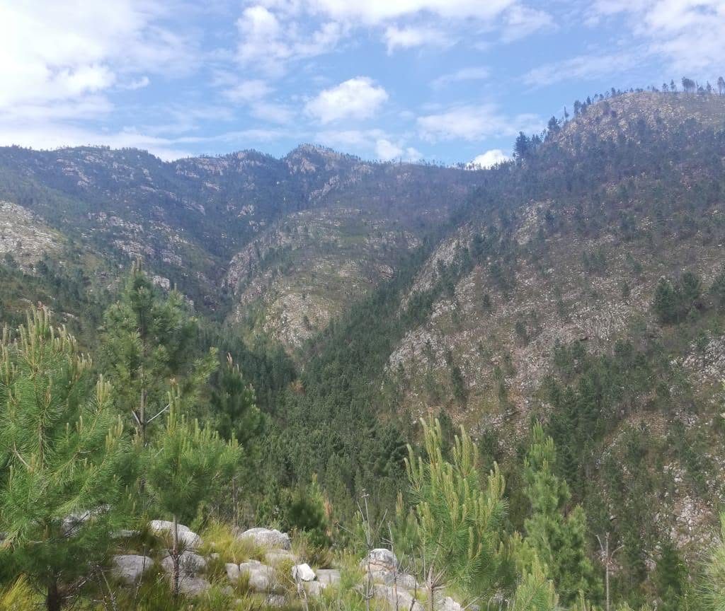 Livinglands7