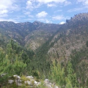 Livinglands7