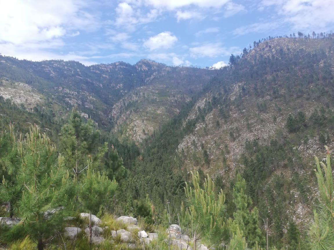 Livinglands7